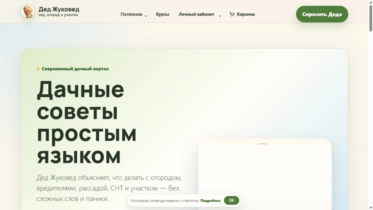 Статьи для Дзена — пример работы 2